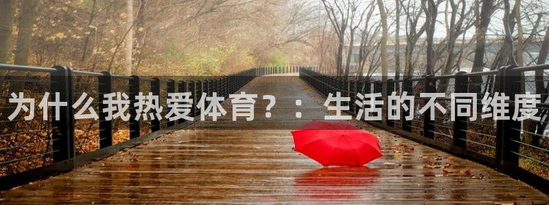77体育官网