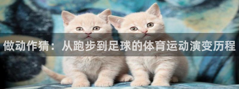 77体育官网
