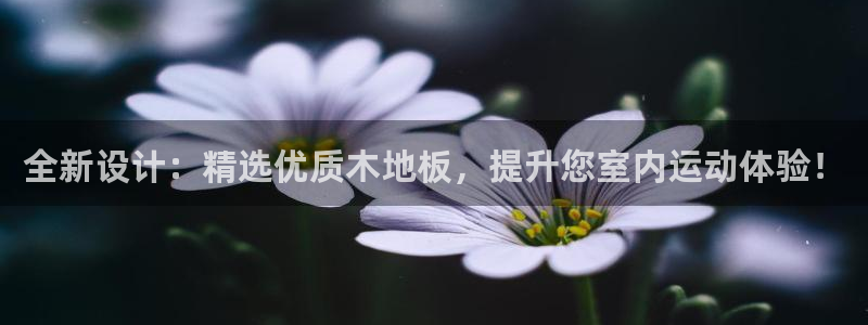 77体育app下载官网