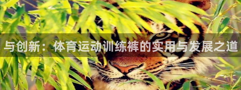 77体育app下载官网