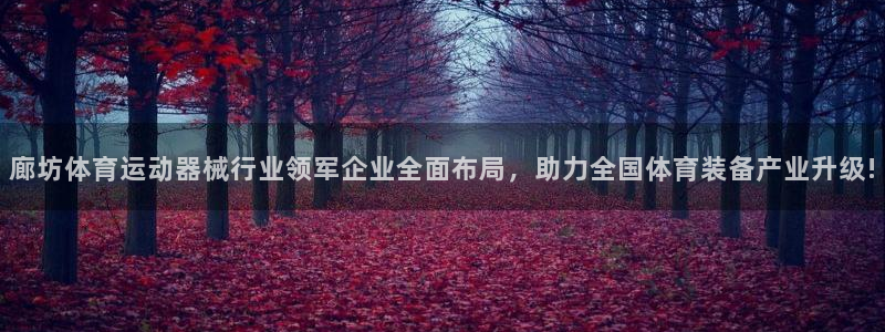 77体育：廊坊体育运动器械行业领军企业全面布局，助力全国体育装备产业升级!