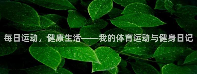 77体育官网：每日运动，健康生活——我的体育运动与健身日记