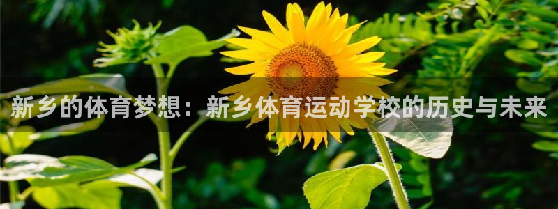 77体育app下载官网：新乡的体育梦想：新乡体育运动学校的历史与未来