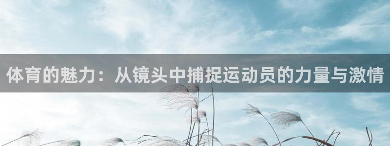 77体育app下载官网：体育的魅力：从镜头中捕捉运动员的力量与激情