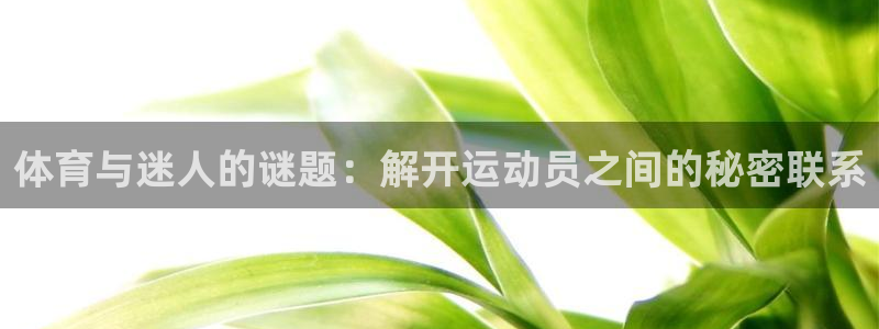 77体育：体育与迷人的谜题：解开运动员之间的秘密联系