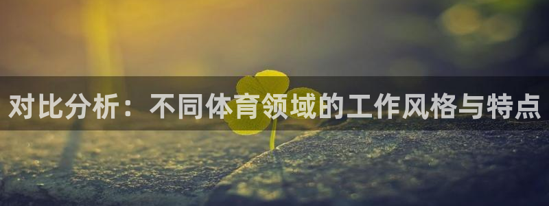 77体育官网