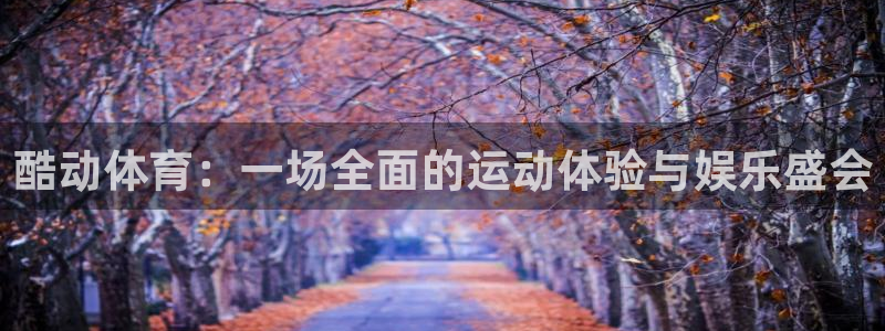 77体育