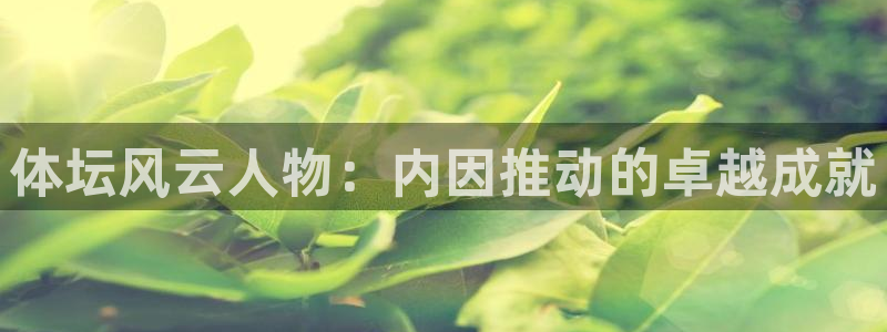 77体育：体坛风云人物：内因推动的卓越成就